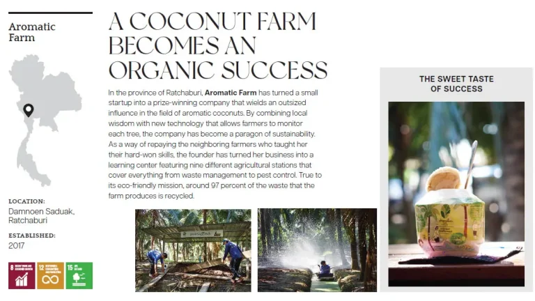 Coconut farm becomes an organic success