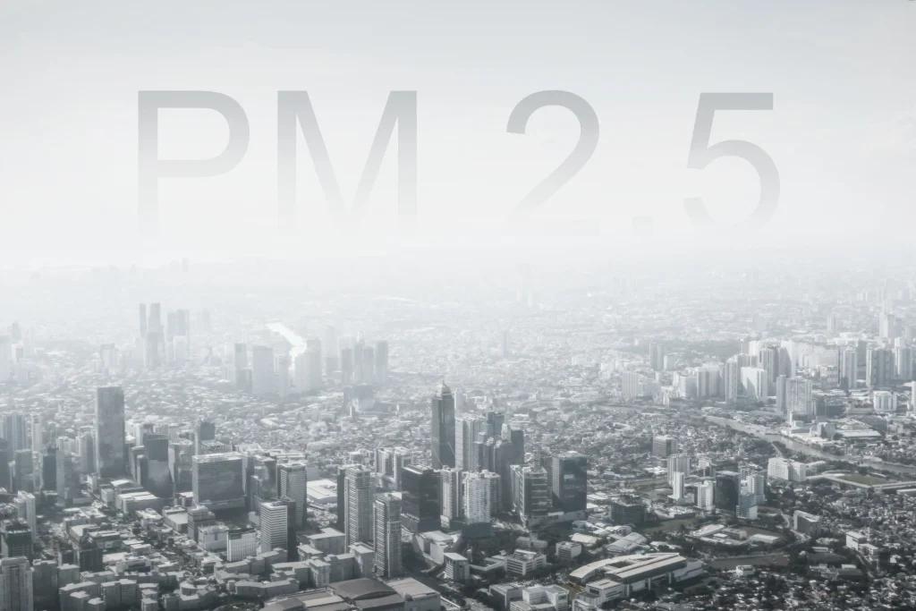 PM2.5 scaled