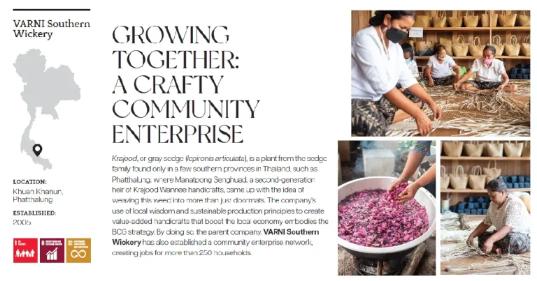 BCG Series EP:16 Growing Together: A Crafty Community Enterprise (VARNI Southern Wickery)