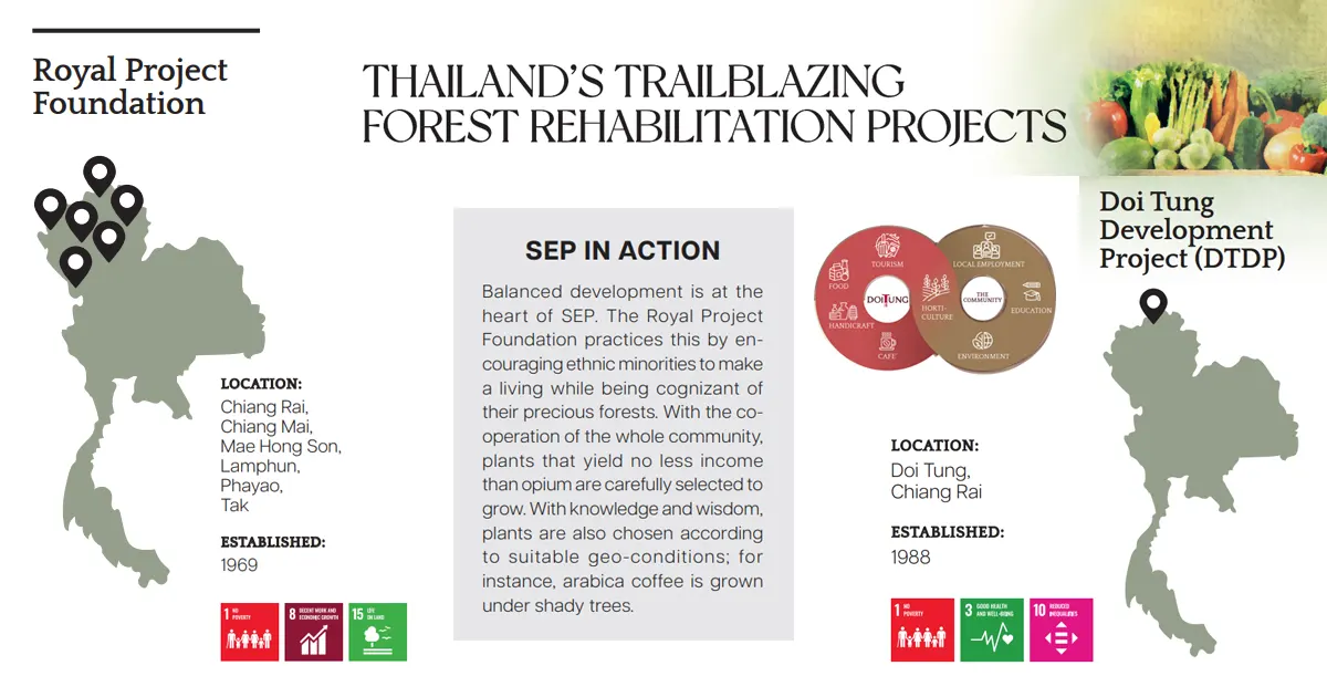 BCG Series EP 25 : THAILAND’S TRAILBLAZING FOREST REHABILITATION PROJECTS