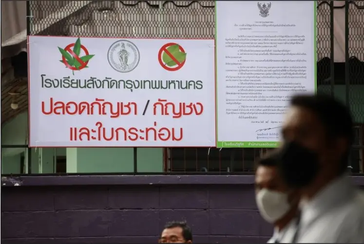 ว่าด้วยกัญชาเสรี