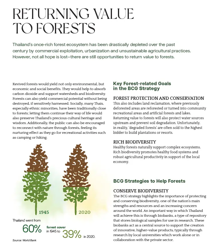 BCG Series EP 24 : RETURNING VALUE TO FORESTS