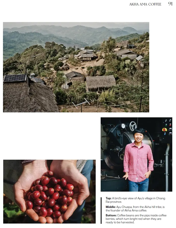 BCG Series EP 27 : A Coffee Enterprise Grounded in Its Roots