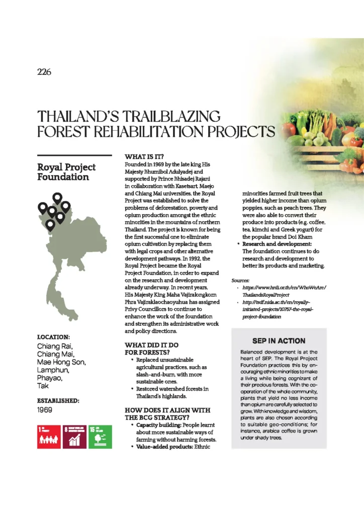 BCG Series EP 25 : THAILAND’S TRAILBLAZING FOREST REHABILITATION PROJECTS